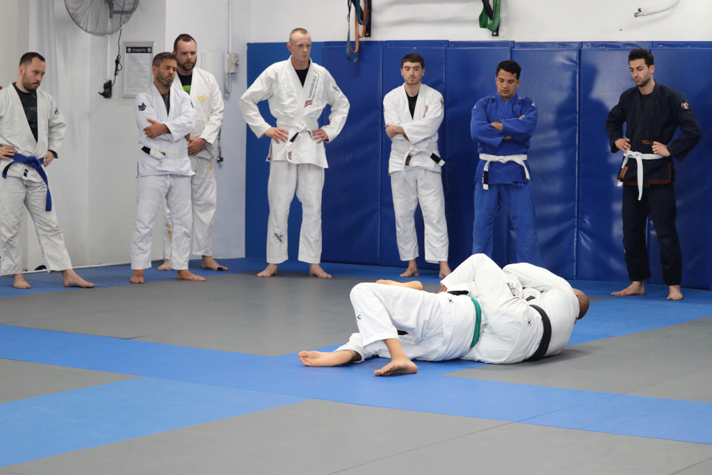 What to Know Before Your First Class: The Fundamentals of Brazilian Jiu- jitsu